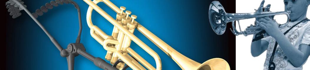 Harness for trumpet