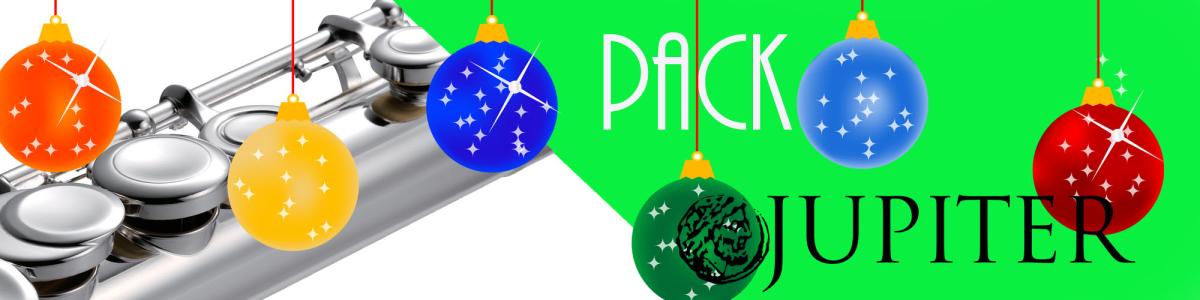 Jupiter student flute pack