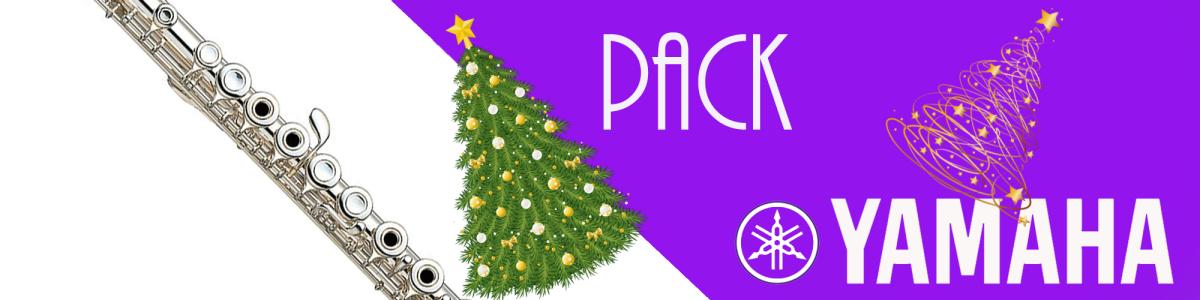 Yamaha YFL282 flute pack