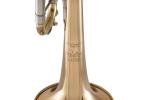 BACH 190L65GV