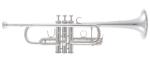 BACH - C190SL229X