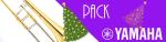 MUSIQUE & ART YAMAHA YSL pack