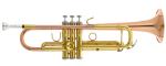 BACH - BTR351G