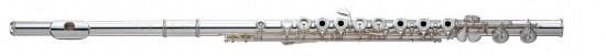 600 series Professional flute